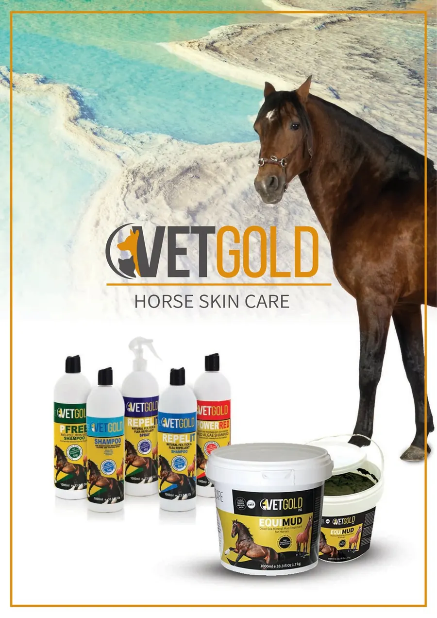 Vetgold Equine